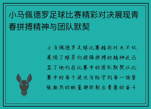 小马佩德罗足球比赛精彩对决展现青春拼搏精神与团队默契