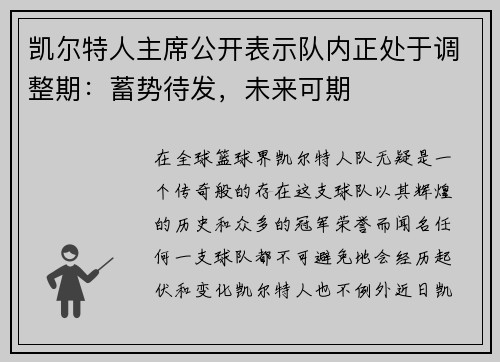 凯尔特人主席公开表示队内正处于调整期：蓄势待发，未来可期