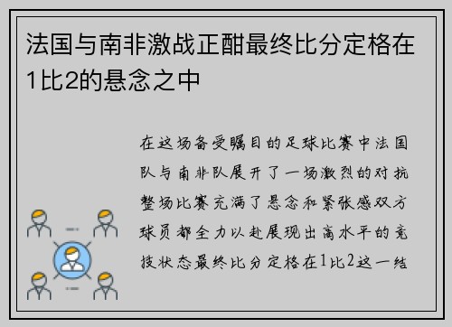 法国与南非激战正酣最终比分定格在1比2的悬念之中