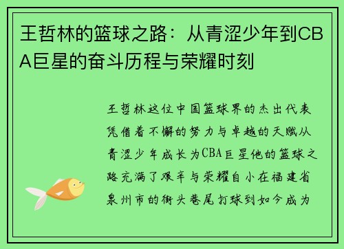 王哲林的篮球之路：从青涩少年到CBA巨星的奋斗历程与荣耀时刻