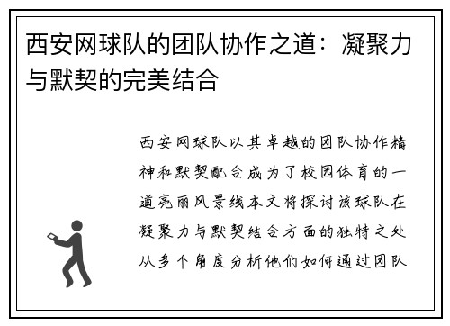 西安网球队的团队协作之道：凝聚力与默契的完美结合